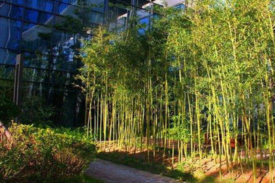 Zhongjian Yanqi Lake View Hotel Bắc Kinh Ngoại thất bức ảnh